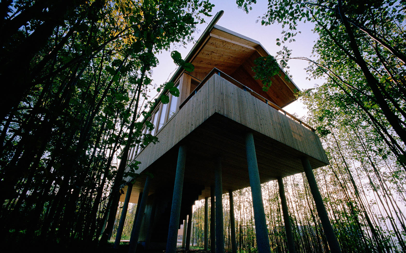 01Gaestehuetten by studio lot.jpg